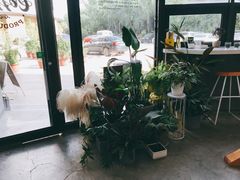 -隹木咖啡馆(宝龙广场店)