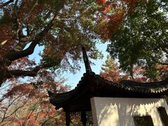 -秋霞圃