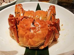 -小厨娘金榜题名(夫子庙秦淮河店)