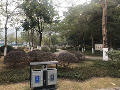 -火炉山森林公园