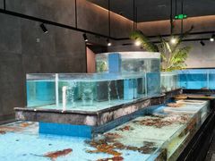 -曼格纳·曼芯馆(杨浦店)