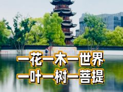 -龙华寺