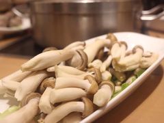 -湯系·煲汤手艺人(东二环泰禾广场店)