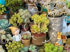 -循礼门鲜花花市(武汉循礼门店)