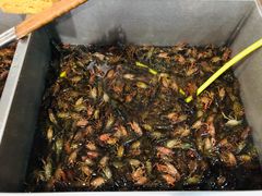 -阿明烧烤·烤鱼·小龙虾(水清路店)