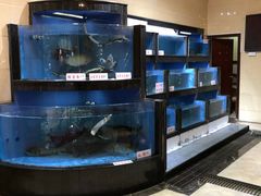 水产区-岭南海晏楼(东晓南店)