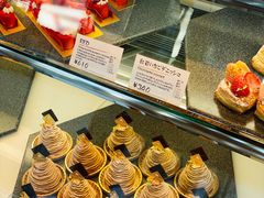 -台场海滨公园船码头
