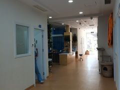 -初心动物医院