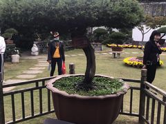 -水绘园