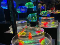 -海合安青岛极地海洋公园