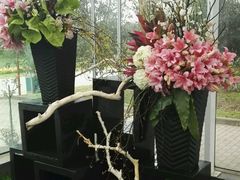 -上海鲜花港