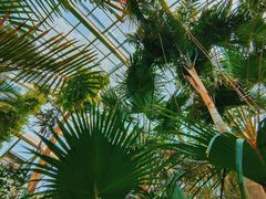 -国家植物园南园