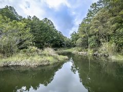 -海南热带雨林国家公园吊罗山景区