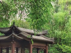 -莲湖公园