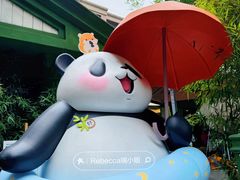 -轩客会(熊猫书店)