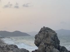 -杨梅坑