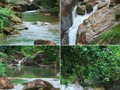 -广州白江湖森林公园