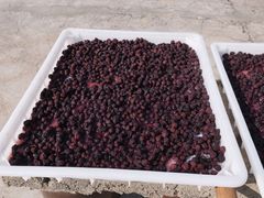 -苏州市吴中区光福窑上花果蜜饯厂