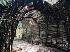 -北海金海湾红树林生态旅游区