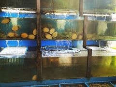 水产区-老东镇啤酒屋海鲜加工·蒸汽海鲜·海鲜烧烤(台东店)