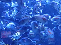 -成都浩海立方海洋公园