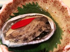 -酒久自助料理(佳兆业店)