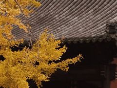 -钱王祠