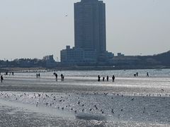 -青岛第一海水浴场