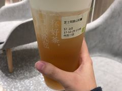 芝士阿里山初露-奈雪的茶(市百一店)