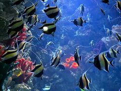 -海合安青岛极地海洋公园