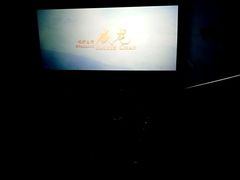 -奥斯卡升龙国际影城(RealD Cinema)