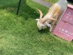 -淄博聊斋城景区