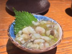 -鸟屯(三里屯店)