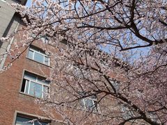 -辽宁大学(崇山校区)