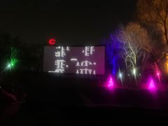 -枫花园汽车电影院(朝阳公园店)