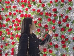 -西安电影制片厂