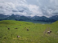 -新疆那拉提国家旅游度假区