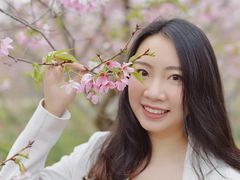 -天适樱花悠乐园