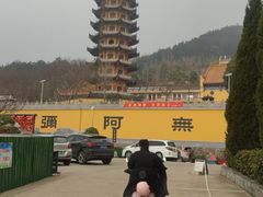 -大塘金香草谷