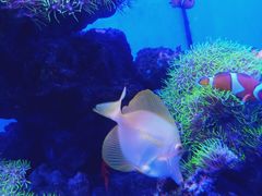 -多彩贵州城极地海洋世界