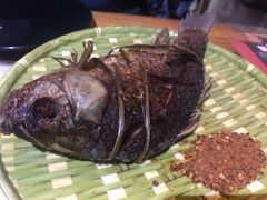 -茶花妹子云南餐厅(北大店)