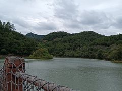 -广州白江湖森林公园