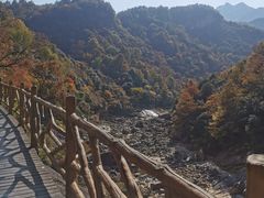 -燕子河大峡谷天坑仙境