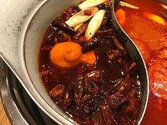 -青瓷火锅料理(西单大悦城店)