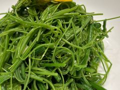 凉拌丝瓜苗-丹江渔村(望京店)