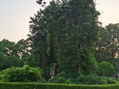 -河南省黄河迎宾馆