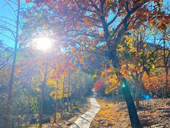 -鹫峰国家森林公园