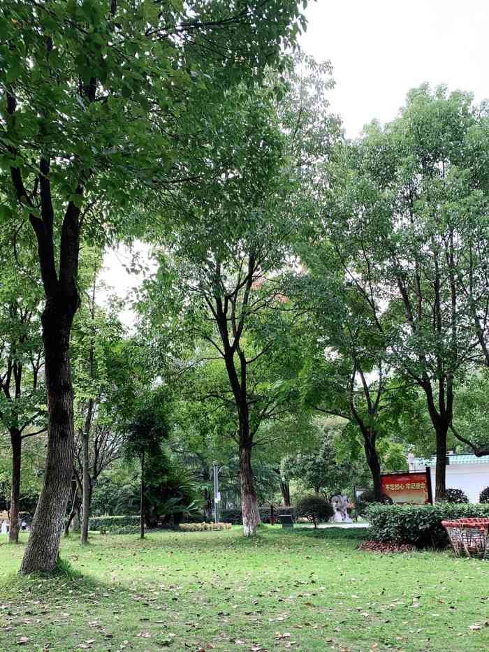 龙川公园-"非常不错的一个公园,规划的也很好,散步17.