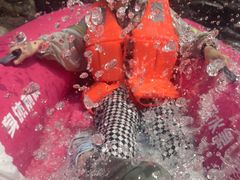 -雅鲁激流探险漂流