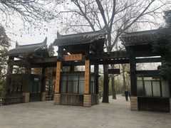 -溱湖国家湿地公园